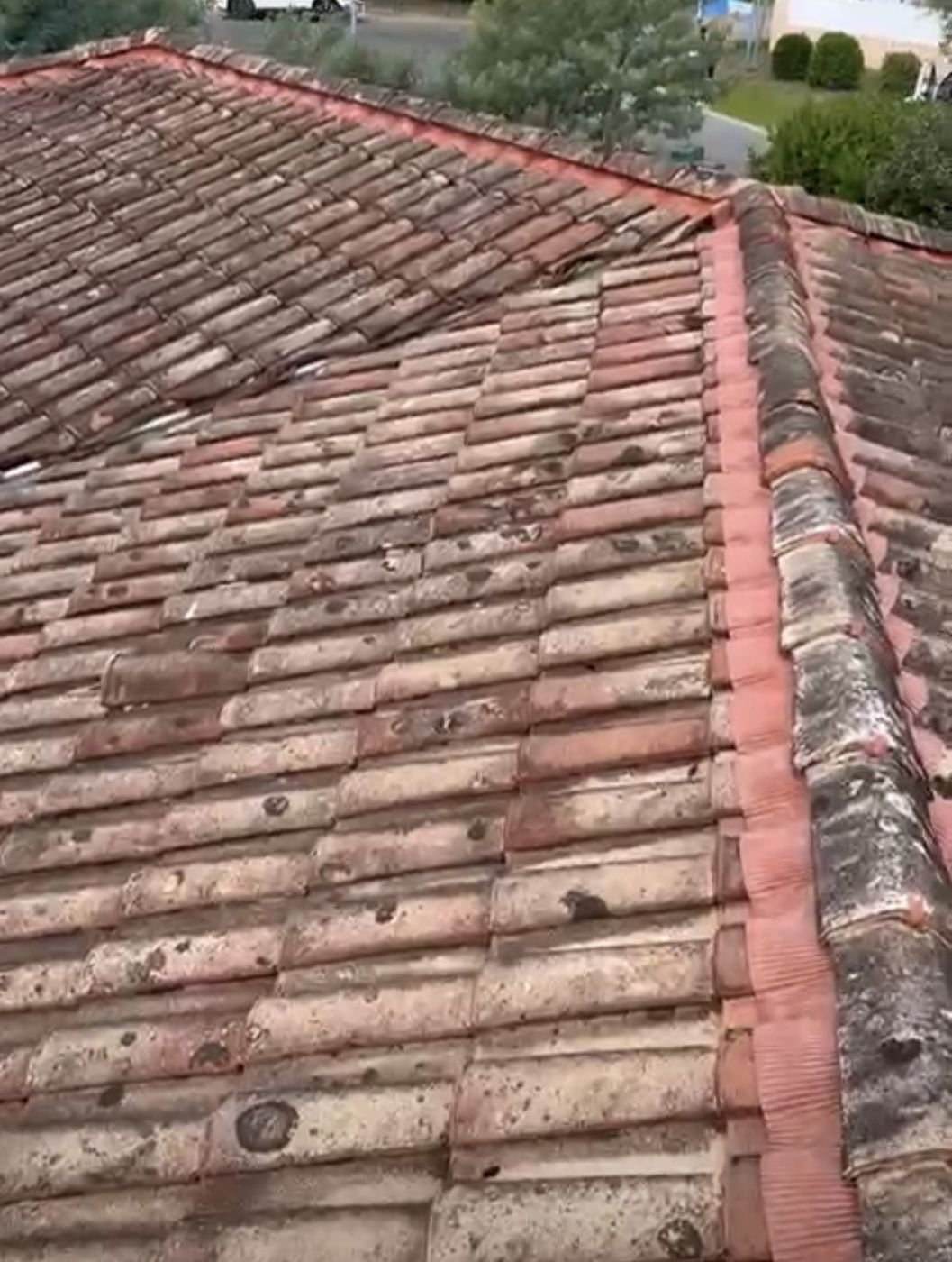 Lichens sur les tuiles avant grattage