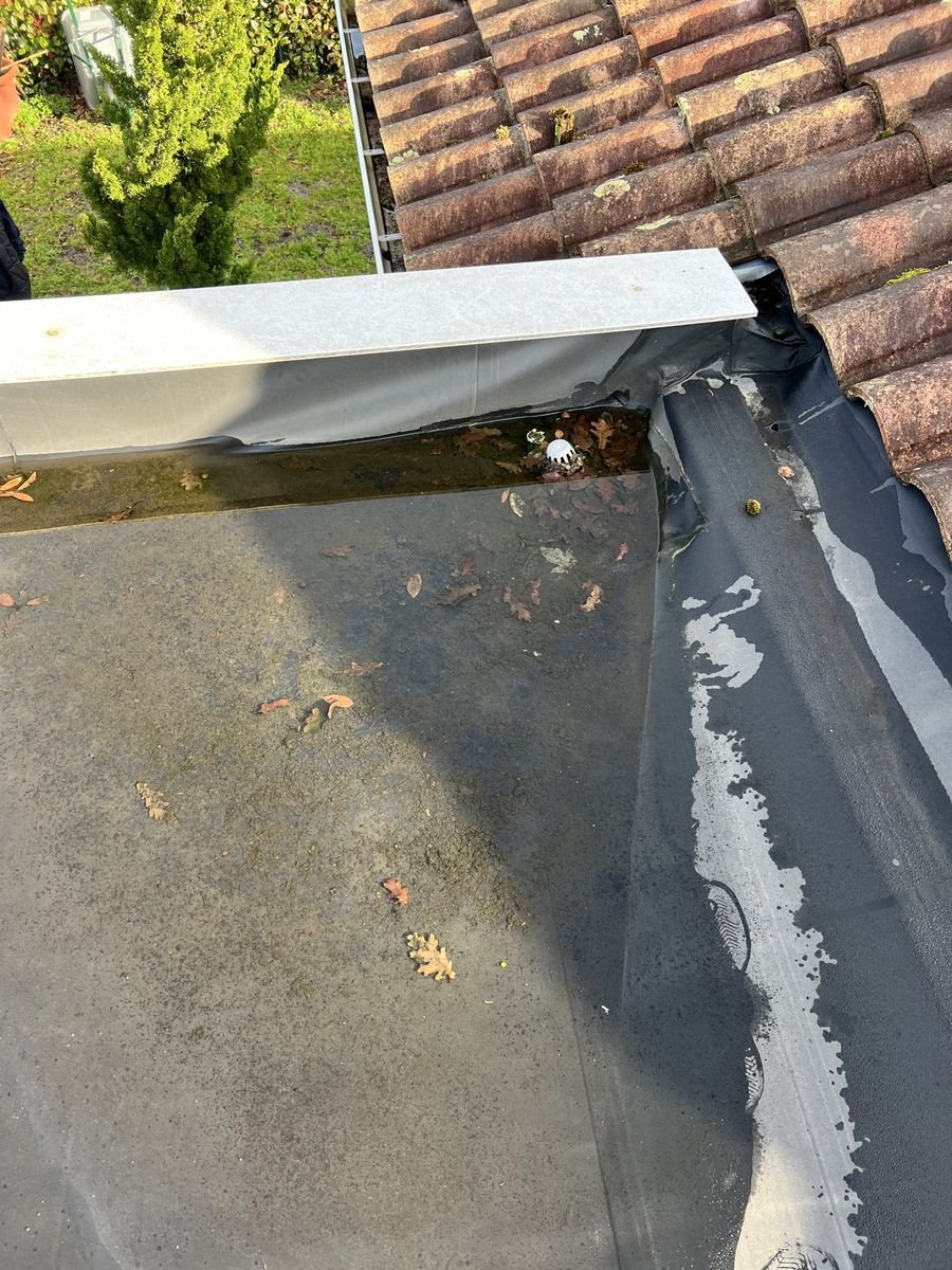 Eau stagnante et débris le long d'un relevé